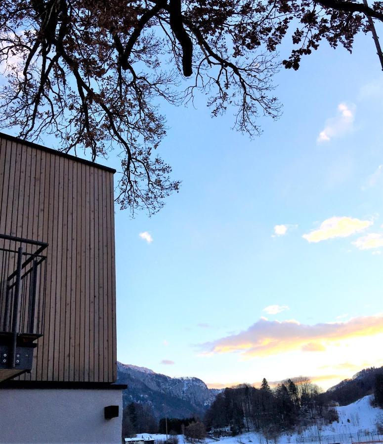 Kampenzeit Loft Mit Traumhaftem Panoramablick Lägenhet Aschau im Chiemgau Exteriör bild