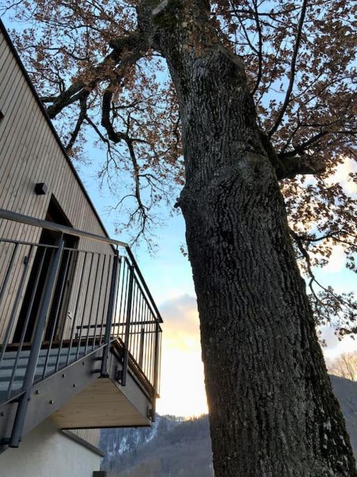 Kampenzeit Loft Mit Traumhaftem Panoramablick Lägenhet Aschau im Chiemgau Exteriör bild